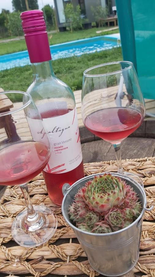 サンタ・クルスTiny Colchagua Cabanas Y Padelアパートメント エクステリア 写真