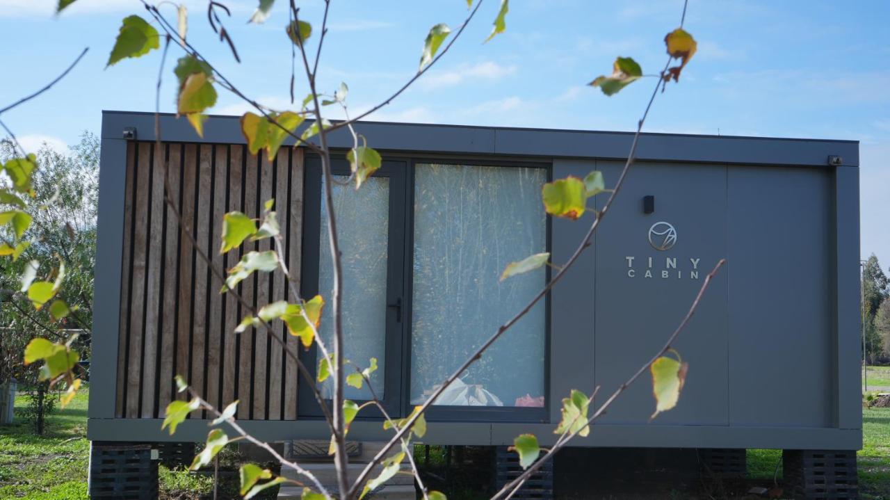 サンタ・クルスTiny Colchagua Cabanas Y Padelアパートメント エクステリア 写真